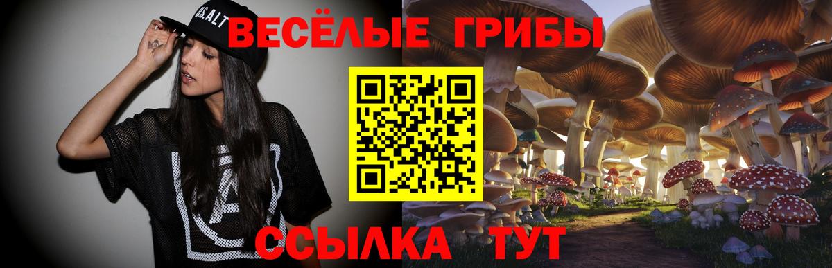 Псилоцибиновые грибы прущие грибы Ирбит