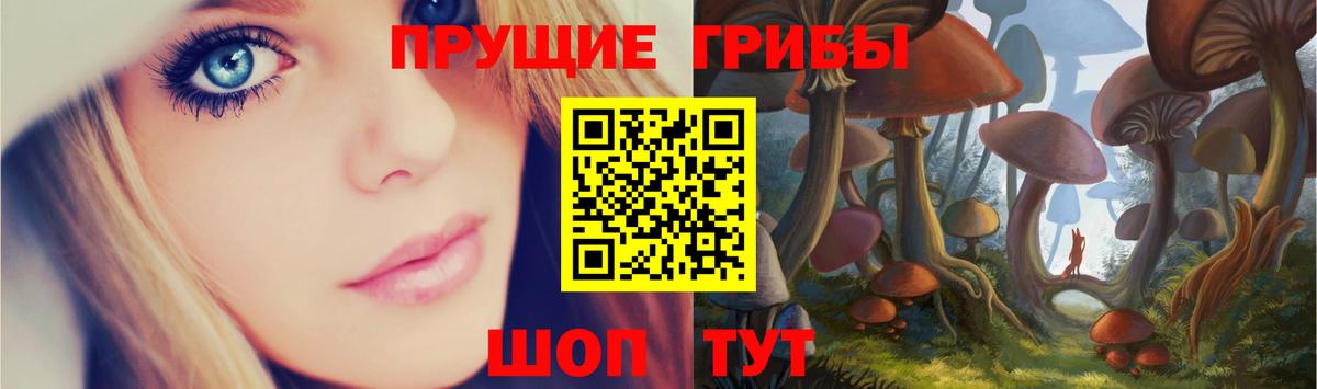 Псилоцибиновые грибы MAGIC MUSHROOMS  Вход с VPN  Ирбит 